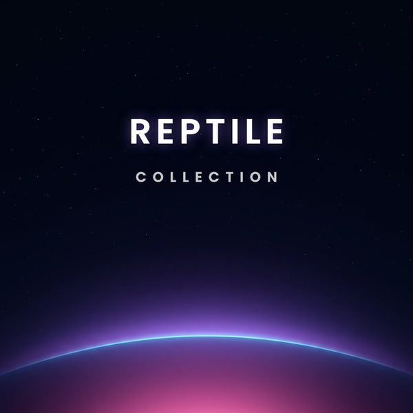 Reptile collection collection of 3D printed flexi toys