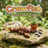 Crawfish 3D printed articulated flexi toy by Cosmic 3D Creations, on a mossy stone with plants