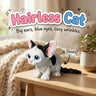 Hairless Cat 3D printed articulated flexi toy by Cosmic 3D Creations, on a cozy side table with a knit blanket